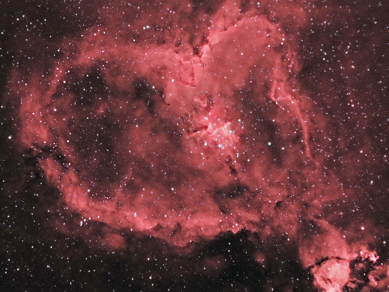The alt attribute of this image is empty, its filename is ic1805-pol.jpg.