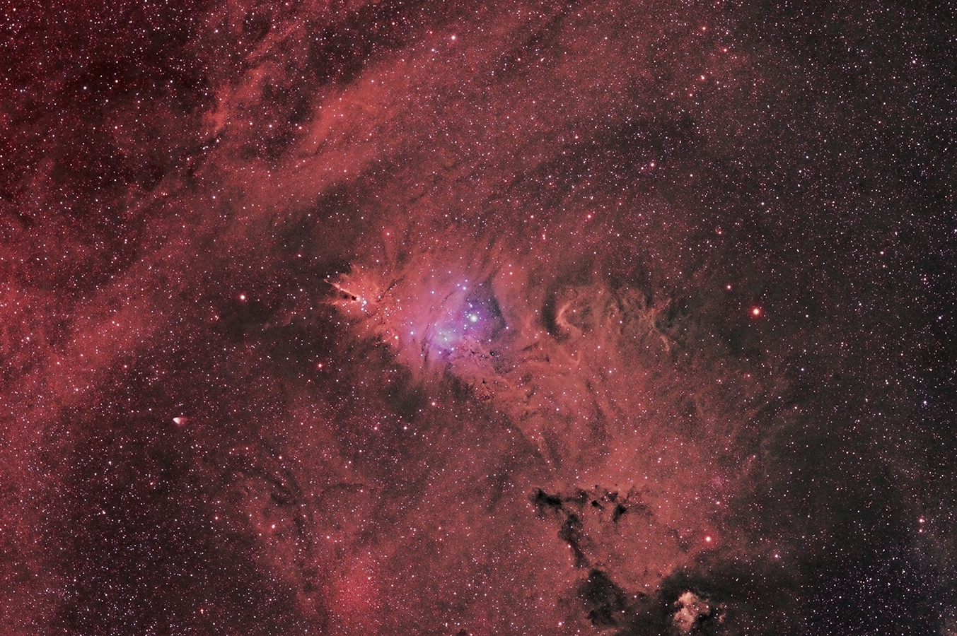 The alt attribute of this image is empty, its file name is ngc2264.jpg.