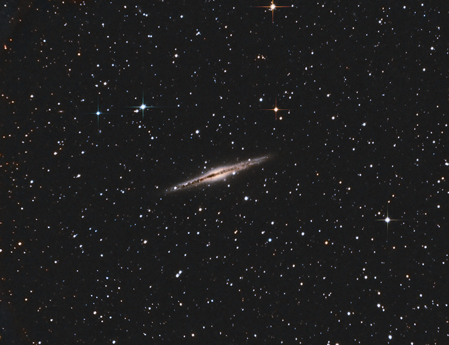 The alt attribute of this image is empty, its file name is ngc891.jpg.